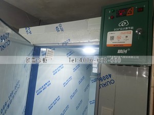 东莞超市小型食品冷藏冷库安装案例